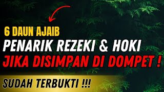 🛑 SEGERA CARI DAUN AJAIB INI.!! 6 Daun Penarik Rezeki \u0026 Pembawa Keberuntungan Jika Ditaruh di Dompet