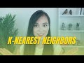 From Scratch: How to Code K-Nearest Neighbors in Python for Machine Learning Interviews!