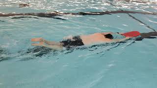 Lamar Aquatics Level 2 Dolphin Kick