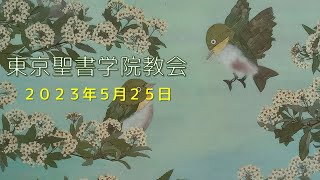 東京聖書学院教会　ペンテコステメッセージ　１