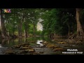 Qabas (Arabic Nasheed) | محمد المقيط - قبس | Muhammad al Muqit