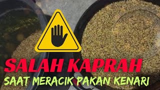 Kesalahan Umum Saat Meracik Pakan Kenari, Efeknya Bisa Membuat Kenari Nglemak&Malas Bunyi!