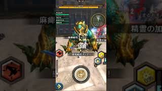 MHXR 共闘狩猟戦線【雷鳴】双雷鳴動 鋼 天笛