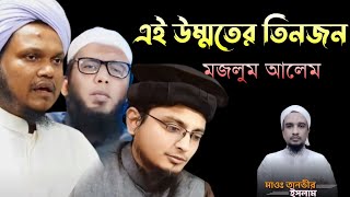 এই উম্মতের তিনজন মজলুম আলেম | শফিউল্লাহ শাফী, মুফতি মুয়াজ বিন নূর, জিয়া বিন কাসেম | Imani Mehnot