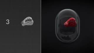 4 object loop morph