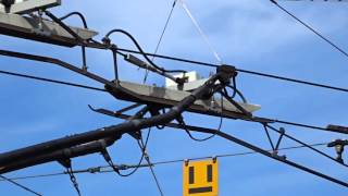 Trolleybus and streetcar  power line crossing