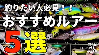 正直釣れる！厳選おすすめルアー５選！！【バス釣り】