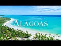 Alagoas Brazil 4K Amazing Aerial Film - Calming Piano Music - Beautiful Nature