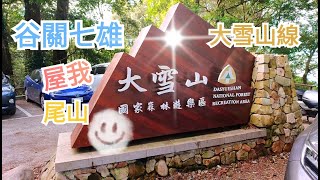 屋我尾山｜大雪山線北登山口｜谷關七雄｜下坡登頂來回4.6k｜屋我尾山北峰｜森林步道