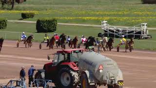 Avenches/17.04.2019/Poneys Nordique C1 - Prix des Broyards