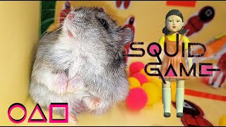 A doll from the SqUiD game VS hamster Bon Bon / HAMSTER ESCAPE