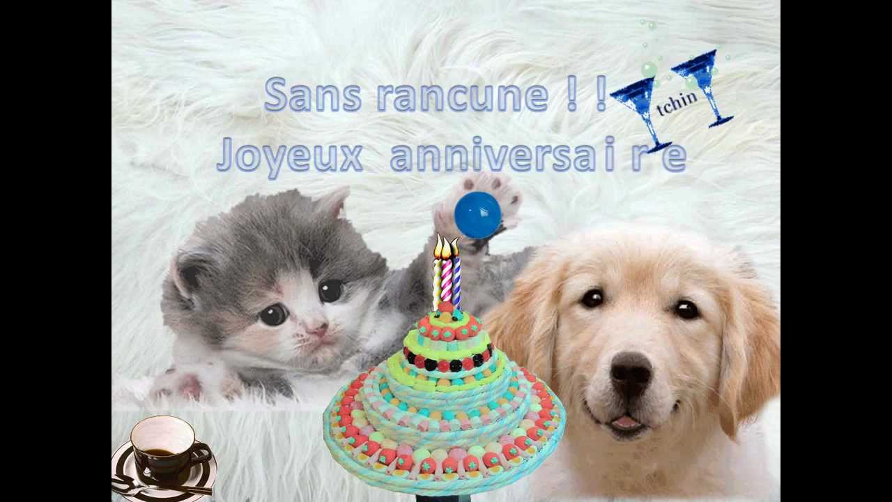 Carte Anniversaire Animée Gratuite Avec Chats | Wizzyloremaria Web