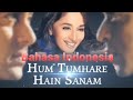 Film india Jadul || Hum Tumhare Hain Sanam || bahasa indo || Shahrukhan - Salmankhan - Madhuri Dixit