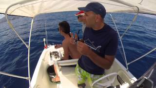 Squalo a Catanzaro Lido Video 3