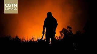 Los incendios se mantienen en más de 300 focos activos en el centro-sur de Chile