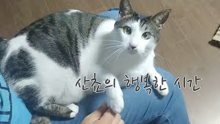 Sancho 산쵸의 행복한 시간