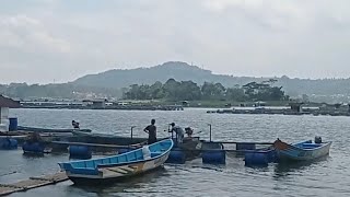 Melihat dari dekat Aktivitas petambak di waduk Darma