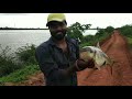 🎏🎣🎣 incredible big rahufish catching 🦈🦈🐟