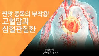 짠맛 중독의 부작용! 고혈압과 심혈관질환 - (2016.9.21_594회 방송)_혈관을 겨누는 화살, 짠맛 중독