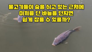 물고기들이 숨을 쉬고 있는 근처에 낚싯대를 던지면 쉽게 잡을 수 있을까?