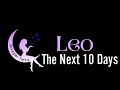 Leo ♌️ They Regret Lying To You And Want You Back But Do You Want To Try Again? 💗❤️