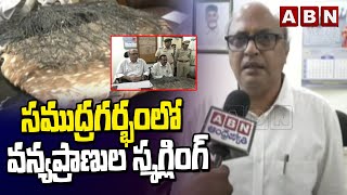 సముద్రగర్భంలో వన్యప్రాణుల స్మగ్లింగ్ | Police Arrest Smuggler | Vijayawada | ABN Telugu