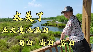 由于洪涝黑河之行泡了汤，绕道五大连池看温泊景区，三泊太美了