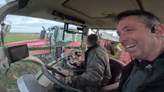 Arrachage des carottes et récolte navets 🥕