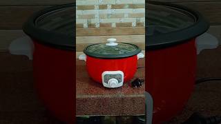 Agaro Electric Multi Cooker | Electric Cooking Pot Review and Recipe | #shorts #short #shortvideo