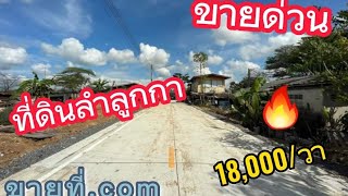 ขายด่วนที่ดิน 2 โฉนด โฉนดละ 50 ตรว.คลอง8 ลำลูกกา ปทุมธานี @com-rb7kp  #ขายที่ดิน