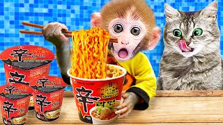 Baby Monkey Kiki enjoys spicy noodles & plays with kitten and duckling hallenge | KUDO ANIMAL KIKI