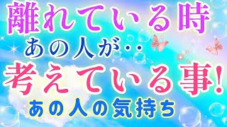 ど正直な想い!!🩷🩵離れている時あの人が貴方の事で考えている事🌈🕊️片思い·複雑恋愛&障害のある状況·曖昧な関係や距離が出来た·遠距離恋愛·職場恋愛などの恋🌈🦄タロット&オラクル恋愛鑑定🩷🩵💛💚