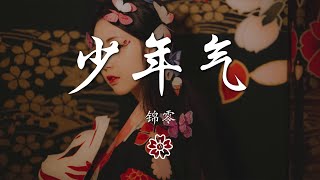 錦零 - 少年氣『你我少年性 偏愛紅塵煙火氣』【動態歌詞Lyrics】