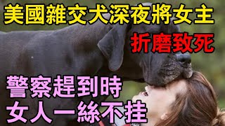 美國雜交犬深夜將女主人折磨致死，警詧趕到時女人一絲不掛| 江湖李白 | X調查 | wayne調查 | 情感 | 情感故事 | 家庭倫理 | 婚姻 | 大案紀實 | 刑事案件 | 案件解說