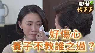 《回甘情多多》EP56 好傷心 養子不教誰之過？