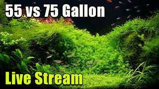 [LIVE]  55 Gallon vs 75 Gallon + a Fish Q\u0026A and a Giveaway!