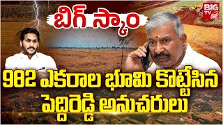 Peddireddy Ramachandra Reddy | 982 ఎకరాల భూమి కొట్టేసిన పెద్దిరెడ్డి అనుచరులు | Land Kabja | BIG TV