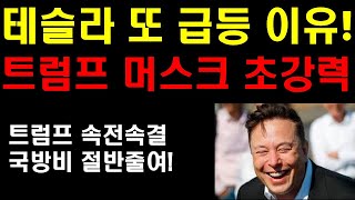 테슬라 또 급등한 이유! 머스크와 트럼프 초강력 동맹관계! 머스크는 결국 더 큰것을 얻게 된다! 멕시코 자율주행 진출은 엄청난 쾌거! 게임체인저가 된다! 폭락시장은 줍줍기회다!