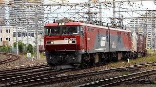 2019/09/29 JR貨物 3055レ EH500-58 隅田川駅 | JR Freight: Cargo Train at Sumidagawa