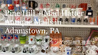 Pine Hills + Mad Hatter Antique Malls in Adamstown - ファイヤーキング やパイレックスが沢山見つかるお気に入りアンティークモール