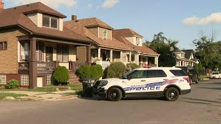 9-year-old girl mauled to death by dogs in Detroit