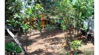 Plot for sale in Thrissur Kariattukara, Chettupuzha,Urakam, Ammadam Kerala.