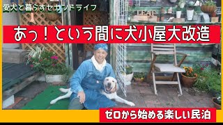 ゼロから始める楽しい民泊〔犬小屋を花と緑で飾りしました〕リーフも喜んでいます！