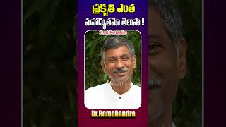 😱ప్రకృతి ఎంత మహాద్భుతమో తెలుసా 💯👌#health #shorts #healthyhome #yt #ytshorts #ramchandra #tips