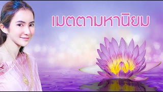 เลขเมตตามหานิยม 24 42 เบอร์มงคล เลขมงคล