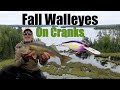 Fall Walleyes In Transitions