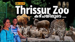 Thrissur Zoo 2024 | ഇപ്പോഴത്തെ കാഴ്ചകൾ എന്തൊക്കെ ?| Kerala tourism | #travelvlogmalayalam