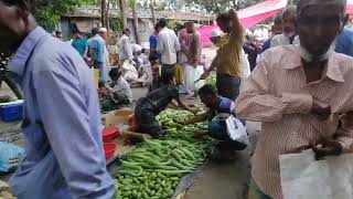 পাঁচটিকড়ী বাজার, ঘাটাইল, টাঙ্গাইল |  Panchakardi Bazar, Ghatail,Tangail |