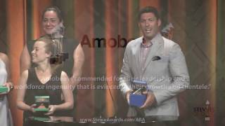 Amobee wins Stevie Award in The 2016 American Business Awards