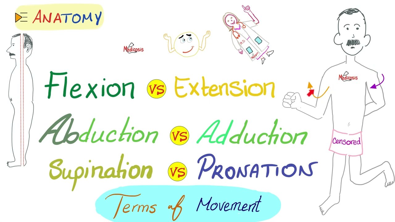 Movement (Flexion, Extension, Abduction, Adduction, Circumduction ...